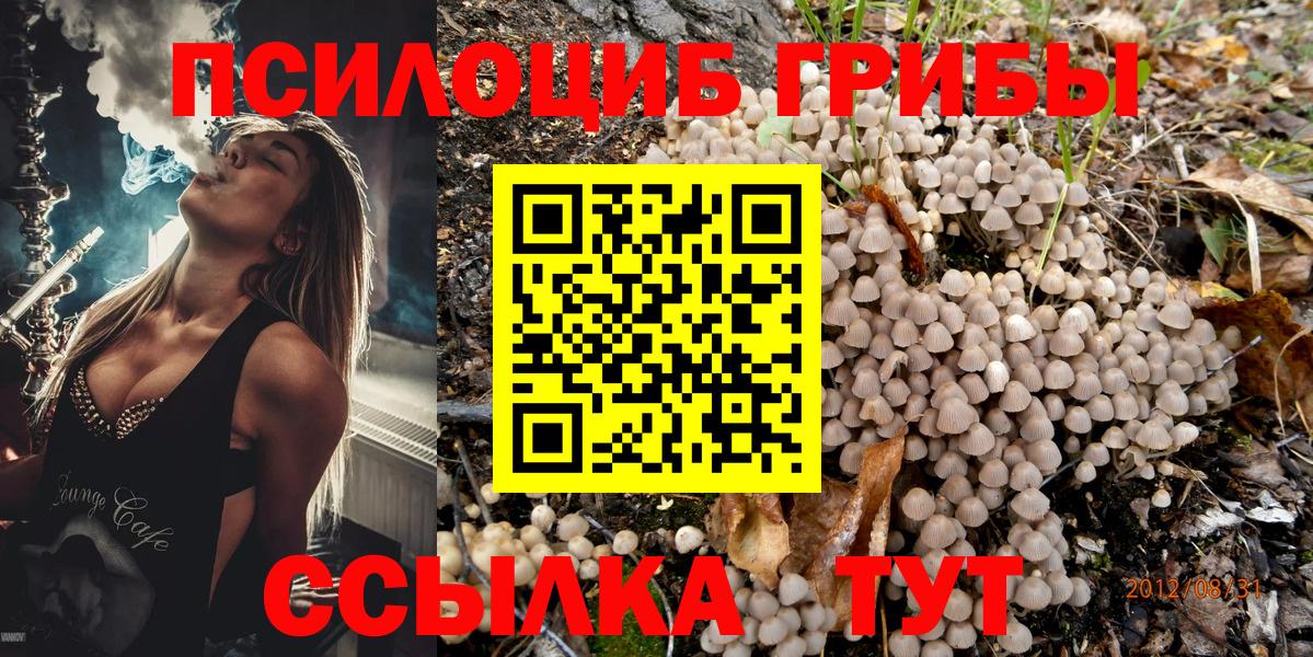 Галлюциногенные грибы мицелий  Вход с VPN  Россошь  Псилоцибиновые грибы мухоморы 