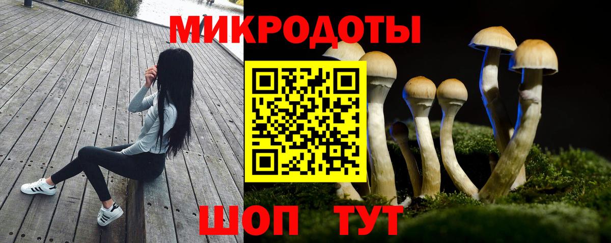 Галлюциногенные грибы прущие грибы Россошь